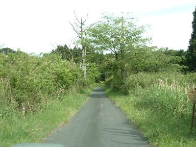 三重県道677号線